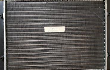 Kühlung, Motorkühler Dasis 040810N - Seat, Skoda, VW